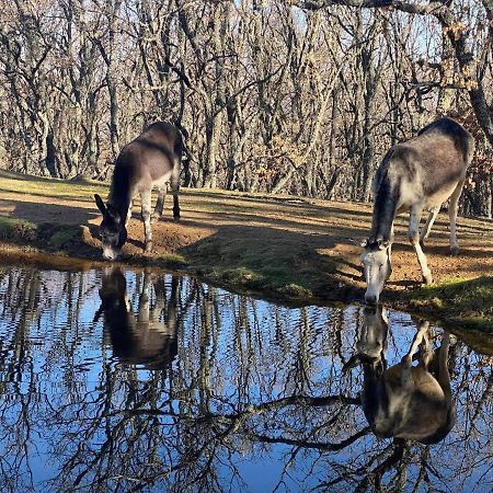 Vistas Espectaculares En Nuestro Apartamento El Ca Cabezas Bajas Екстер'єр фото